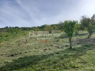 Sale, land lot, Novi Slankamen, Inđija - image 6