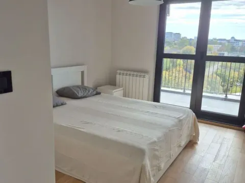 Izdavanje, dvosoban stan, 51m², Hala Pionir, Palilula Sve Podlokacije - image 7