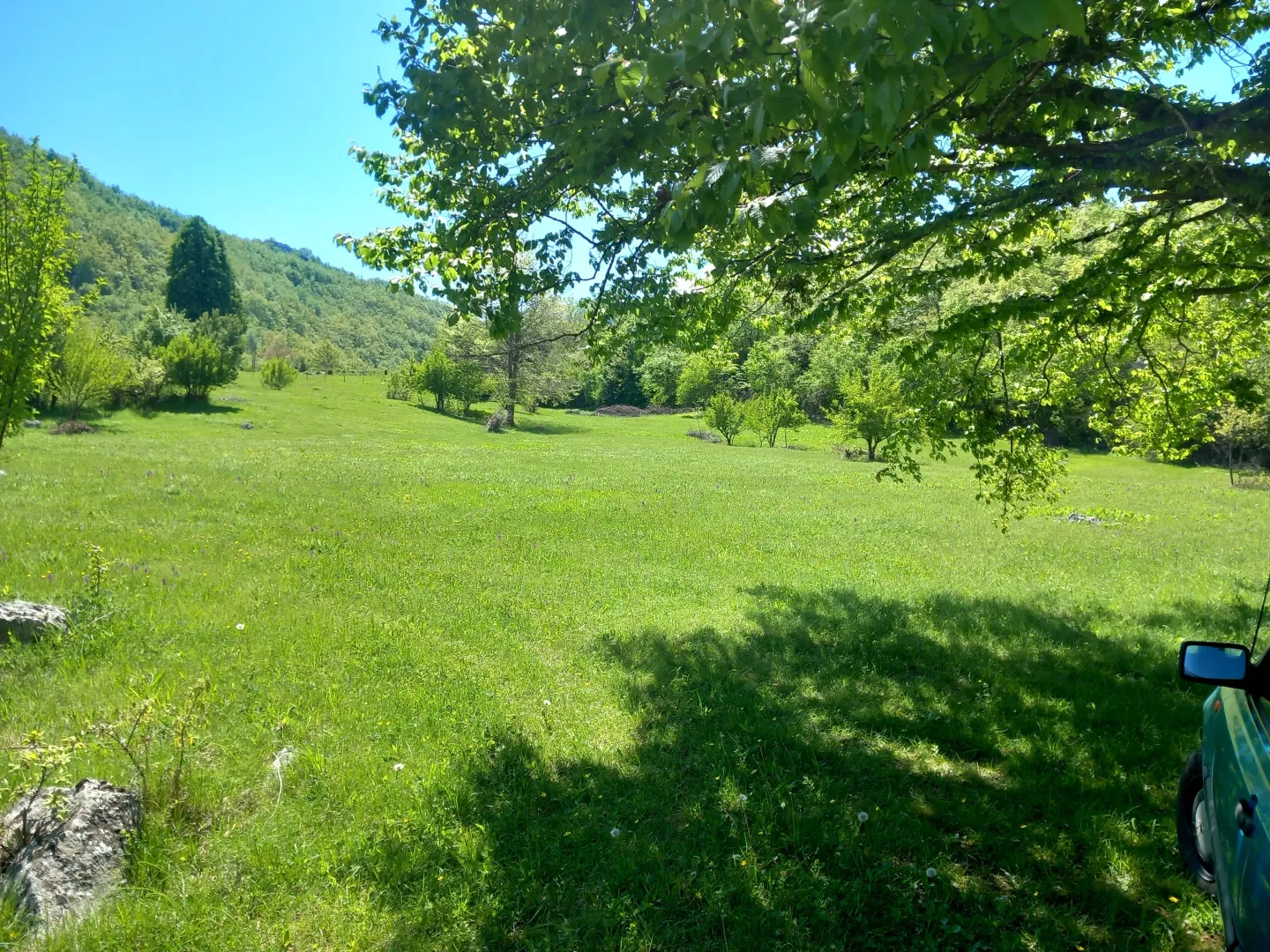 Prodaja, plac, 130000m², Sjenokosi, Nikšić