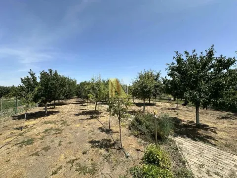 Prodaja, kuća, 186m², Elemir, Zrenjanin - image 27