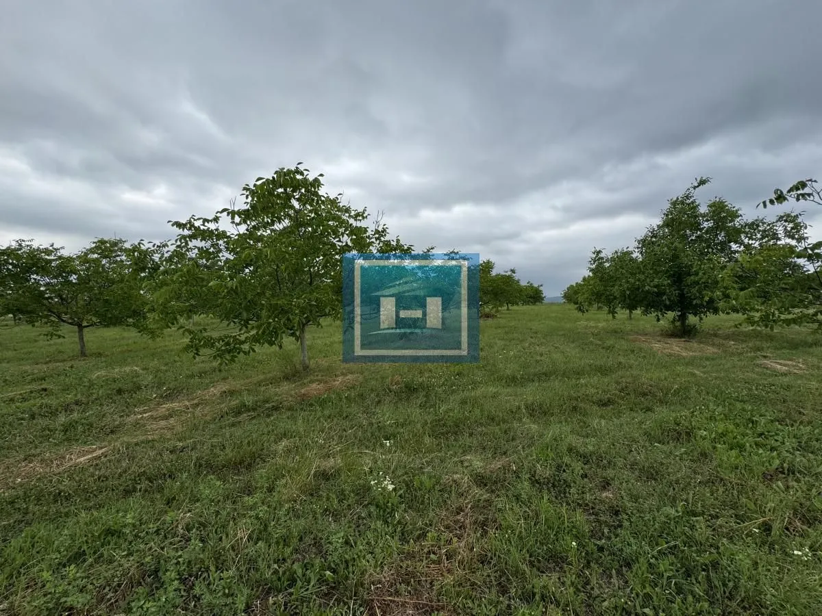 Prodaja, plac, 22800m², Stubica, Paraćin