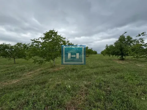 Prodaja, plac, 22800m², Stubica, Paraćin - image 8