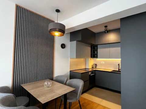 Prodaja, jednosoban stan, 45m², Zabjelo, Podgorica - image 4