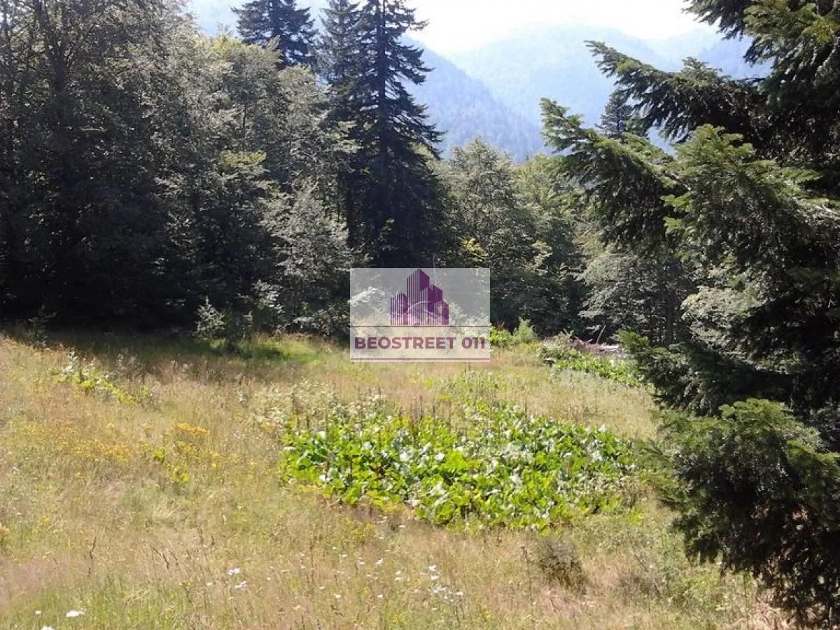 Prodaja, plac, 1500m², Andrijevica, Crna Gora