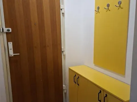 Izdavanje, dvosoban stan, 54m², Liman 2, Novi Sad Sve Podlokacije - image 7