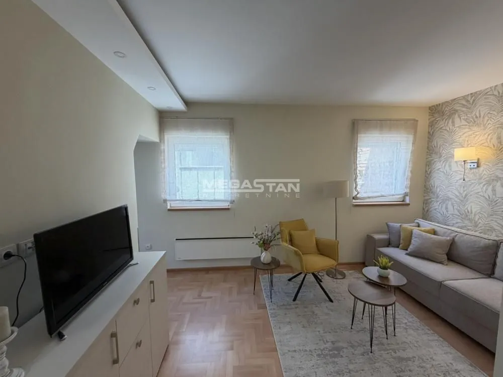 Rent, two bedroom apartment, 54m², Vračar Hram, Vračar Sve Podlokacije