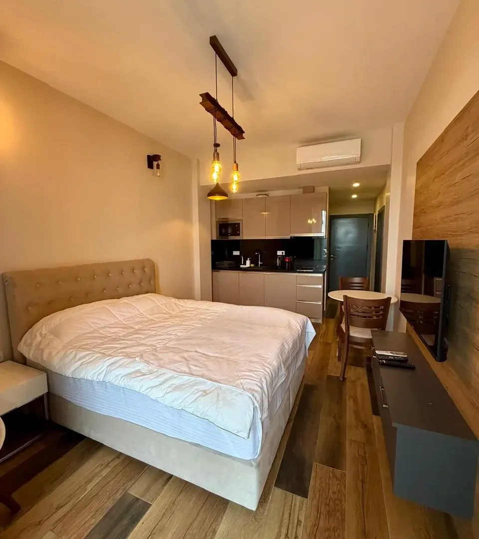 Stan-na-dan, garsonjera, 28m², Boreti, Budva