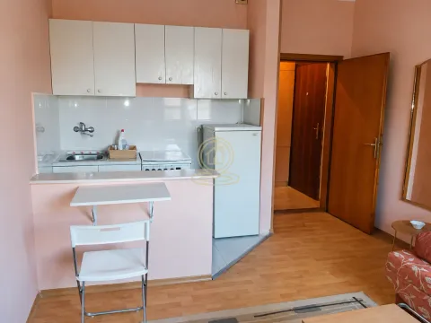 Izdavanje, jednosoban stan, 20m², Grbavica, Novi Sad Sve Podlokacije - image 4