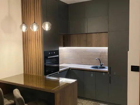 Izdavanje, jednosoban stan, 48m², Ljubović, Podgorica - image 5