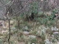 Prodaja, plac, 558m², Jošica, Herceg Novi - image 7