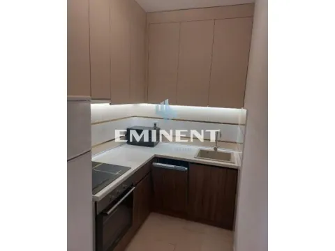 Izdavanje, dvosoban stan, 51m², Lion, Zvezdara Sve Podlokacije - image 6
