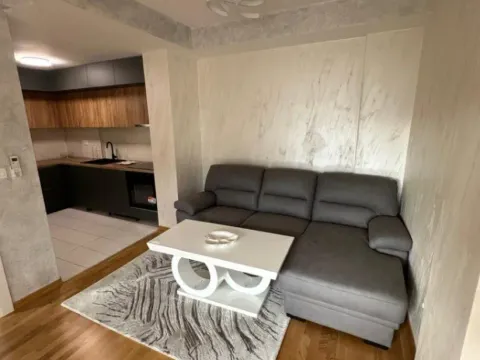 Rent, one bedroom apartment, 70m², Seljanovo, Tivat - image 7