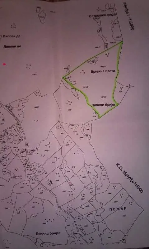 Prodaja, plac, 10000m², Danilovgrad, Crna Gora