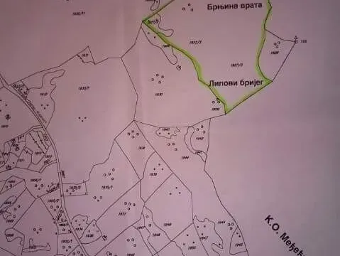 Sale, land lot, 10000m², Danilovgrad, Crna Gora - image 3