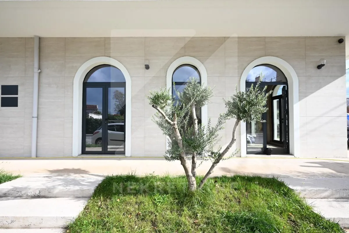 Building facade with arched windows and doors with an olive tree in front.