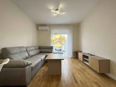 Izdavanje, jednosoban stan, 42m², Pobrežje, Podgorica - image 2