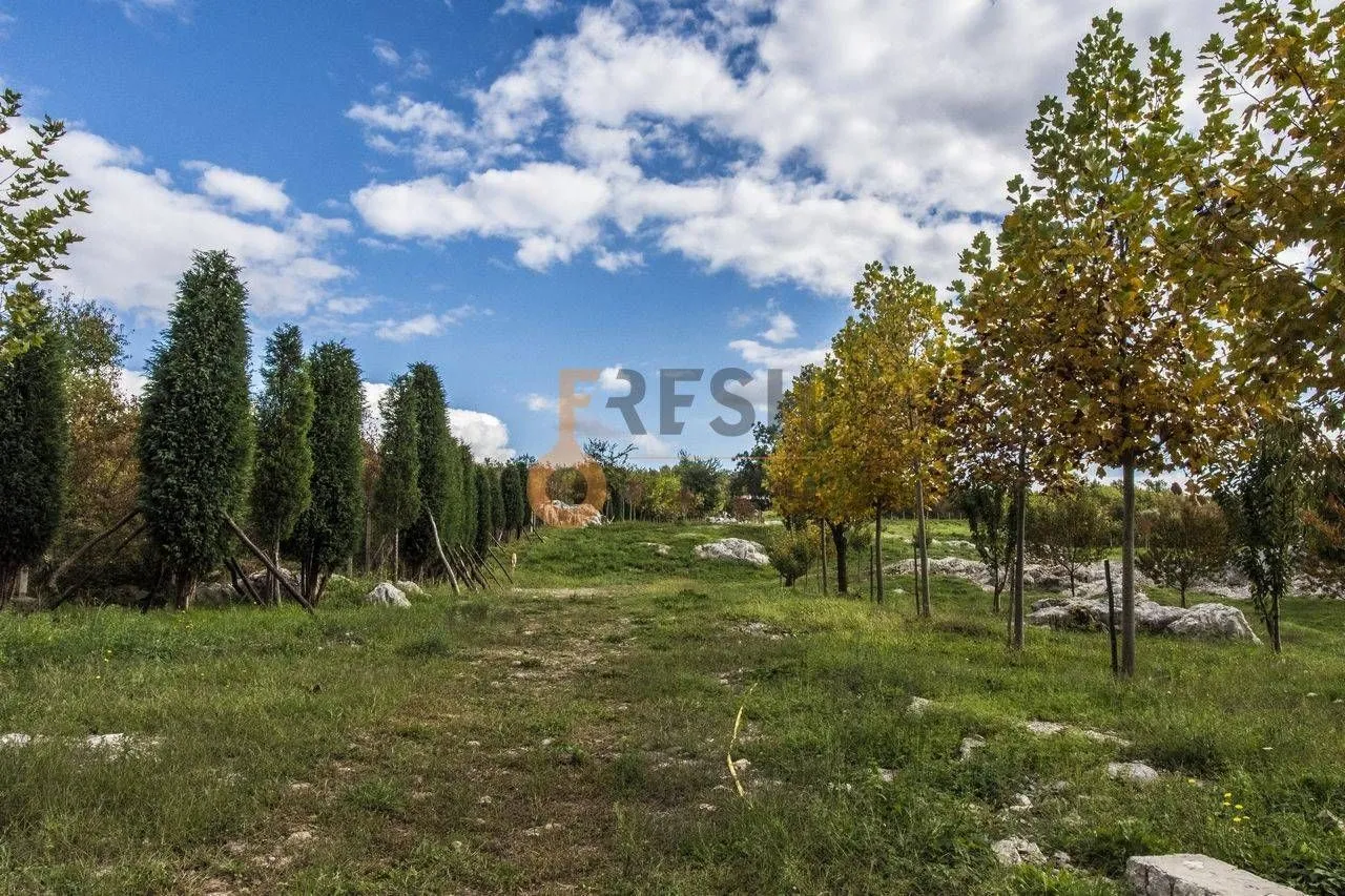 Prodaja, plac, 36246m², Danilovgrad, Crna Gora