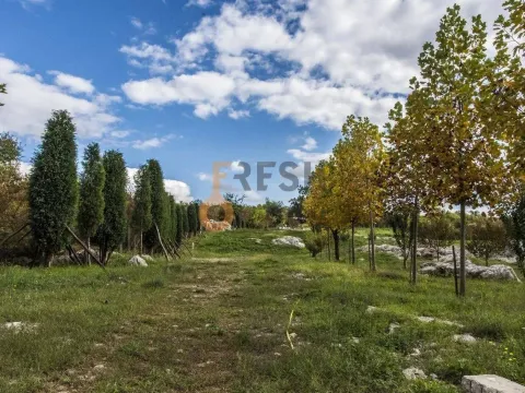 Prodaja, plac, 36246m², Danilovgrad, Crna Gora - image 4