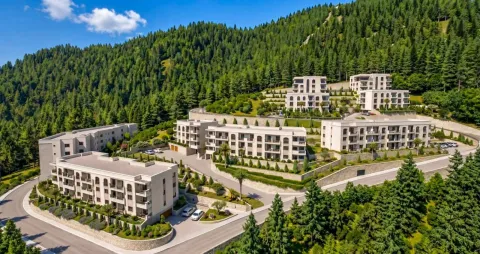 Pogled iz ptičje perspektive na stambeni kompleks okružen šumom. - image 15