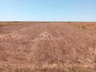 Prodaja, plac, Batajnica, Beograd - image 2