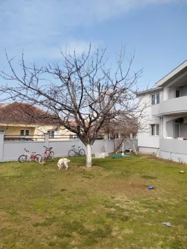 A spacious yard with a lawn and a tree next to a house. - image 13