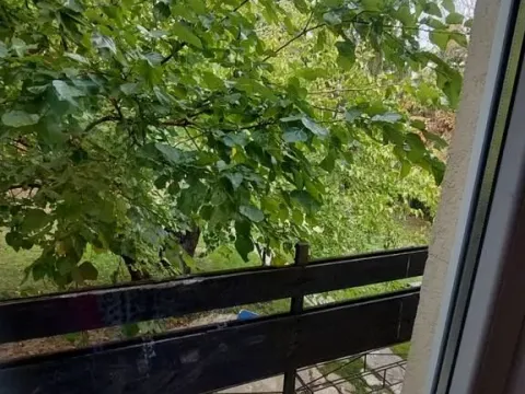 Izdavanje, kuća, 160m², Savski Venac, Beograd - image 10