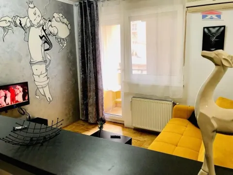 Izdavanje, garsonjera, 22m², Grbavica, Novi Sad Sve Podlokacije - image 3