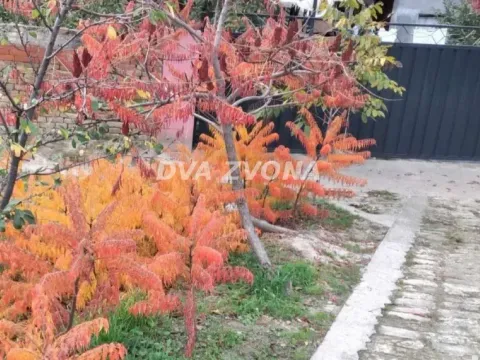 Prodaja, kuća, 63m², Novi Bečej, Zrenjanin - image 2