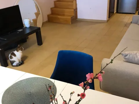 Prodaja, stan, 103m², Herceg Novi, Crna Gora - image 5