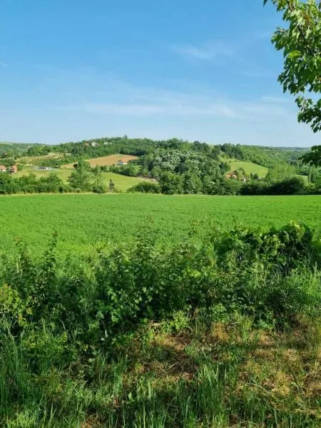 Prodaja, plac, 8400m², Sremski Karlovci, Novi Sad