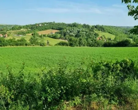 Prodaja, plac, 8400m², Sremski Karlovci, Novi Sad - image 7