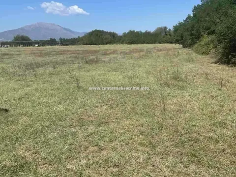 Sale, land lot, 3120m², Grbe, Danilovgrad - image 2
