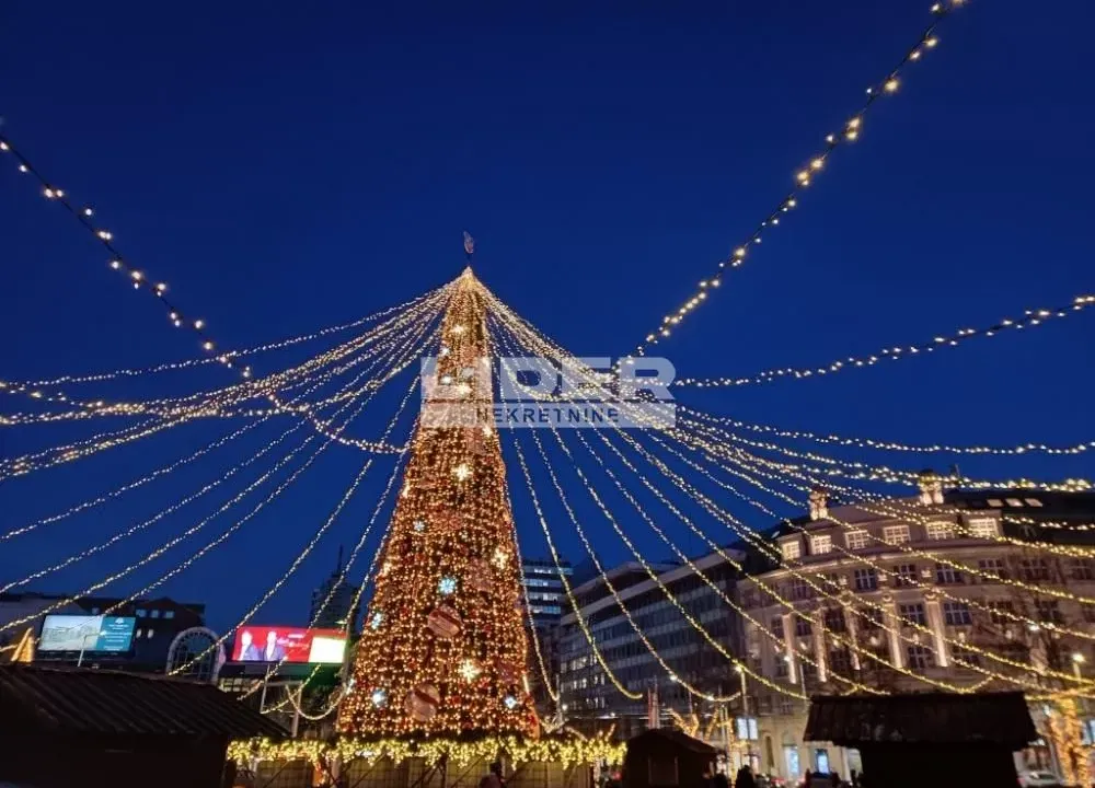 Izdavanje, dvosoban stan, 45m², Stari Grad, Beograd