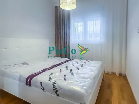 Izdavanje, jednosoban stan, 47m², Stari Aerodrom, Podgorica - image 9