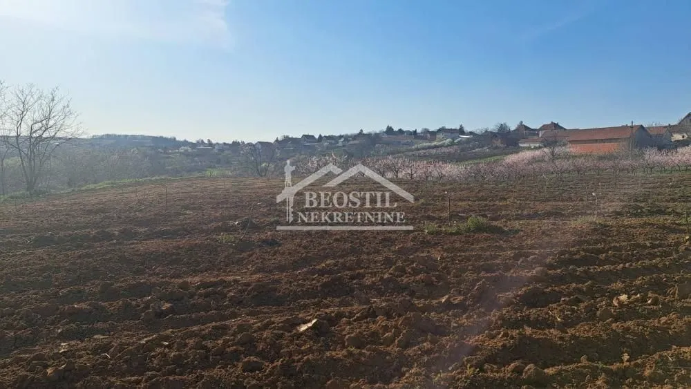 Prodaja, plac, 4058m², Brestovik, Grocka