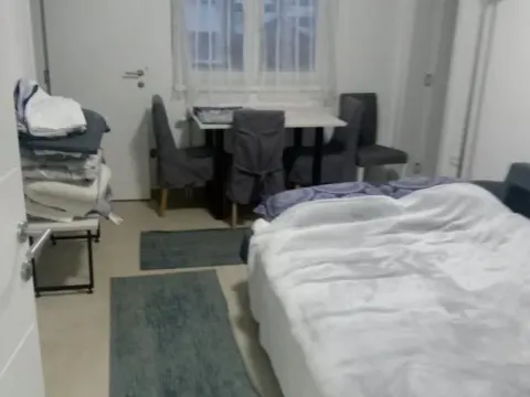 Izdavanje, jednosoban stan, 45m², Veternik, Novi Sad Sve Podlokacije - image 4