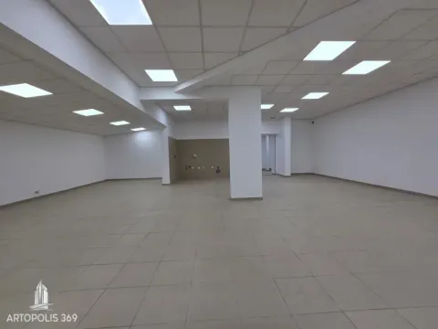 Izdavanje, poslovni prostor, 310m², Dušanovac, Voždovac Sve Podlokacije - image 7