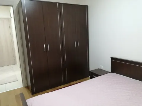 Izdavanje, jednosoban stan, 49m², Central Point, Podgorica - image 5