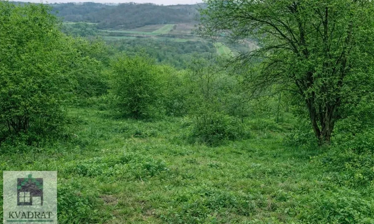 Sale, land lot, 1200m², Mala Moštanica, Obrenovac