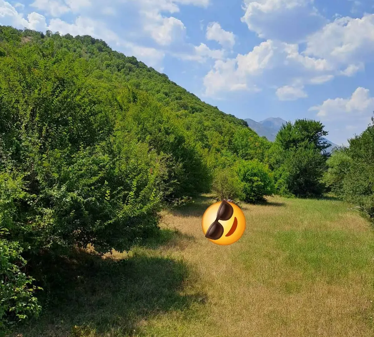 Prodaja, plac, 20000m², Donji Zagarač, Danilovgrad