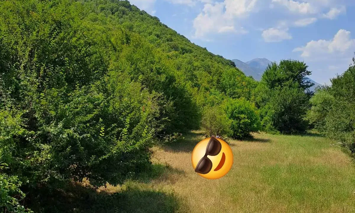 Sale, land lot, 20000m², Donji Zagarač, Danilovgrad