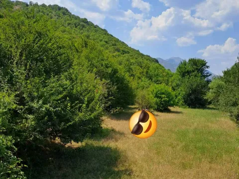 Prodaja, plac, 20000m², Donji Zagarač, Danilovgrad - image 1