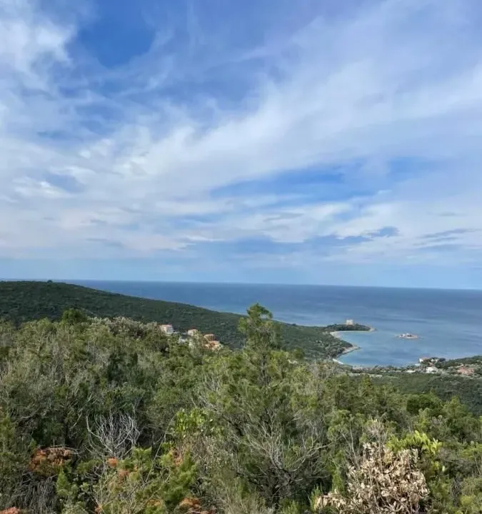 Prodaja, plac, 14000m², Žanjić, Herceg Novi