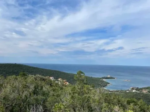 Prodaja, plac, 14000m², Žanjić, Herceg Novi - image 1