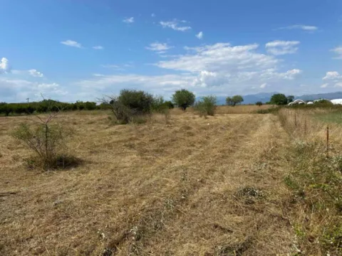 Prodaja, plac, 6000m², Golubovci, Podgorica - image 7