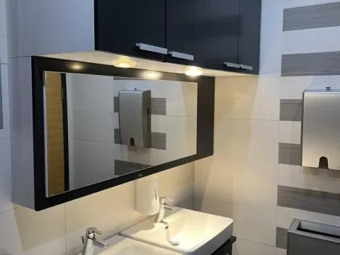 Izdavanje, poslovni prostor, 300m², Zemun Sve Podlokacije, Beograd - image 9