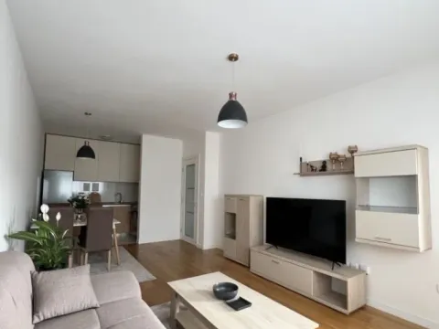 Izdavanje, jednosoban stan, 49m², Central Point, Podgorica - image 8