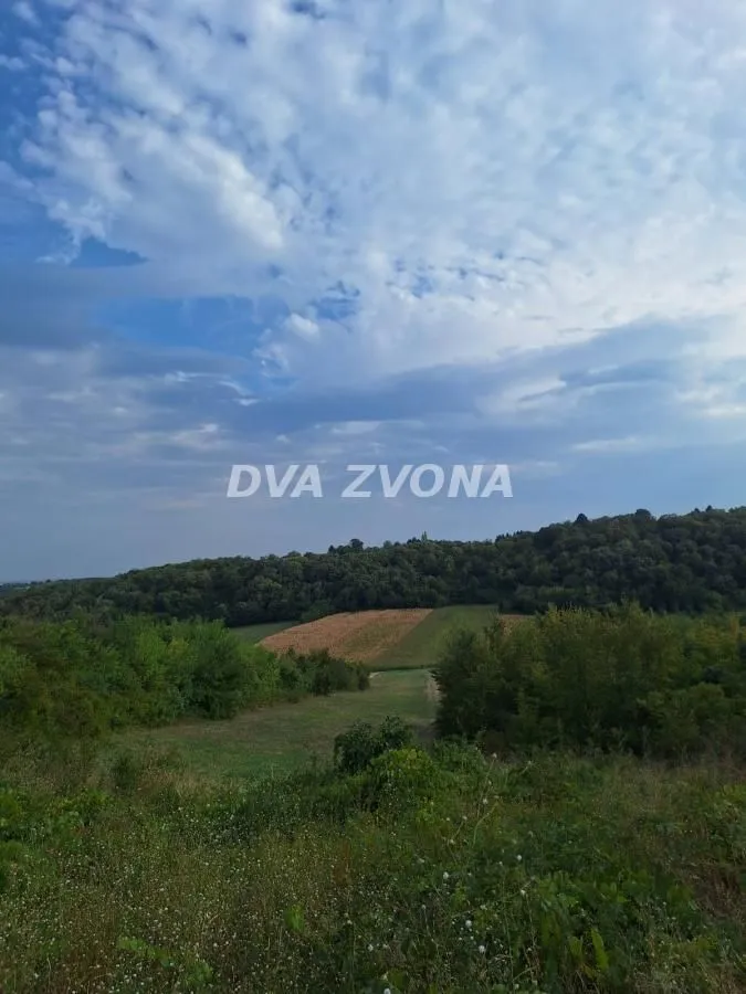Prodaja, plac, 1100m², Čortanovci, Inđija