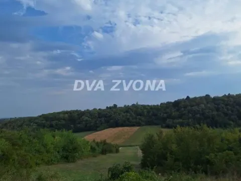 Prodaja, plac, 2200m², Čortanovci, Inđija - image 2