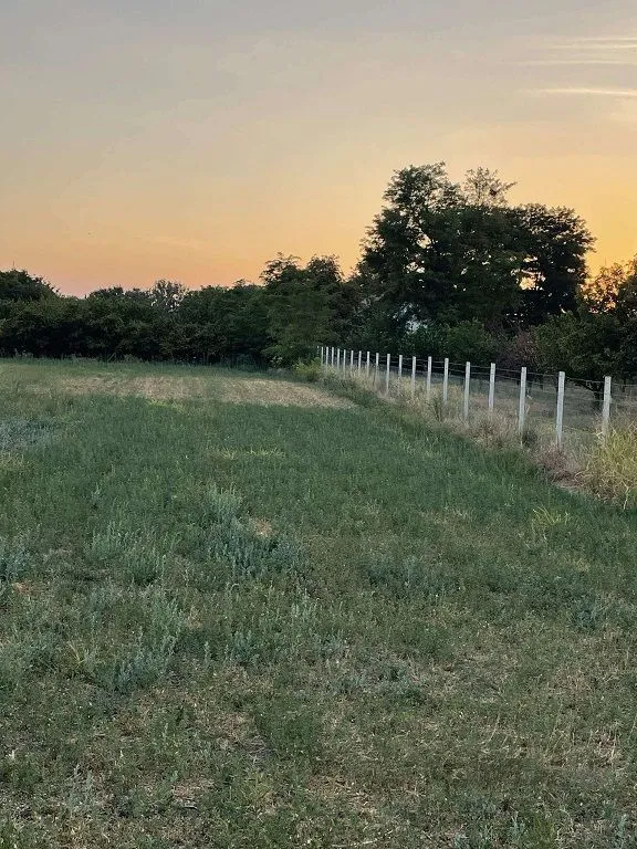 Pogled na ograđeni plac sa travnjakom i rastinjem u sumrak.